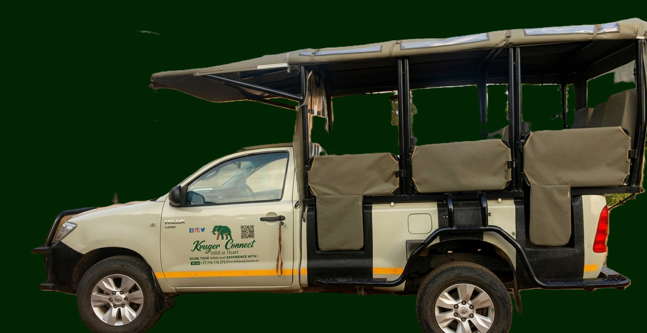 Open Safari Vehicles — game drives in Kruger National Park